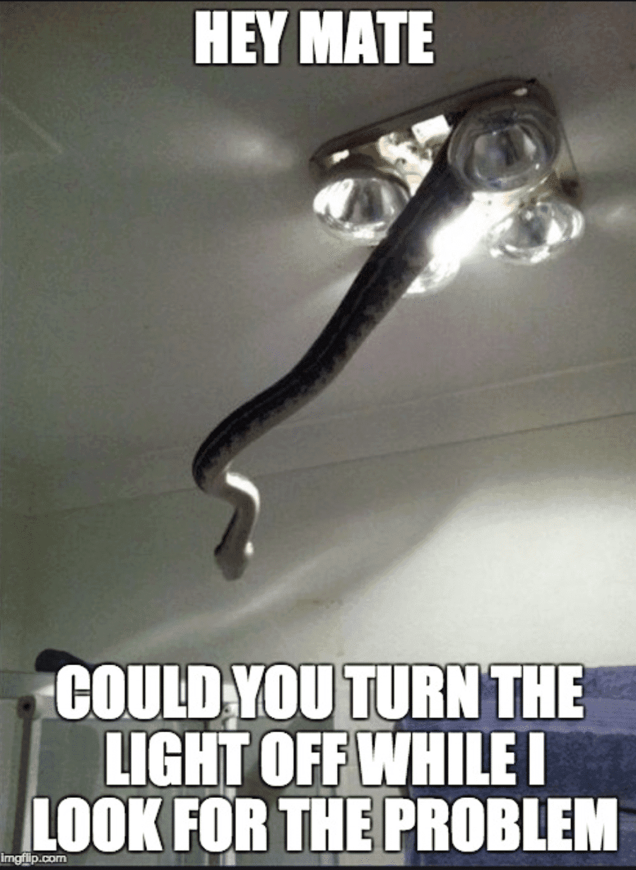 meme image