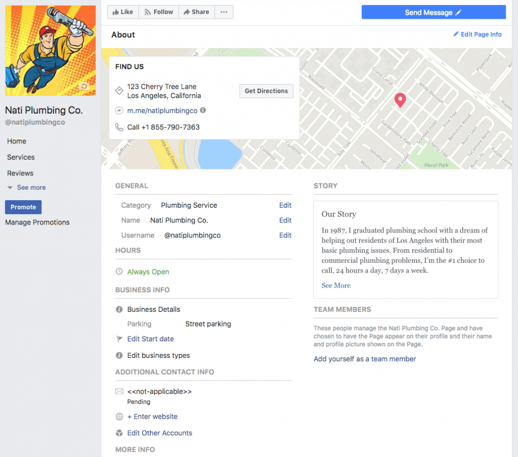 Facebook page details