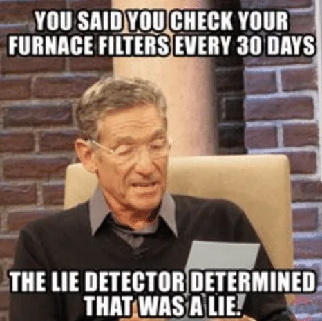 Lie Detector Furnace Filter